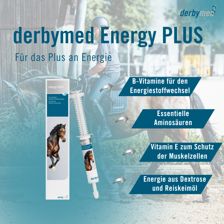derbymed Energy Plus